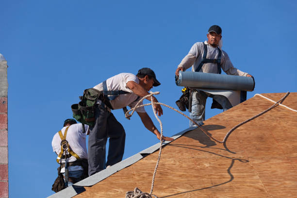 Best Roof Gutter Cleaning  in Hazleton, PA